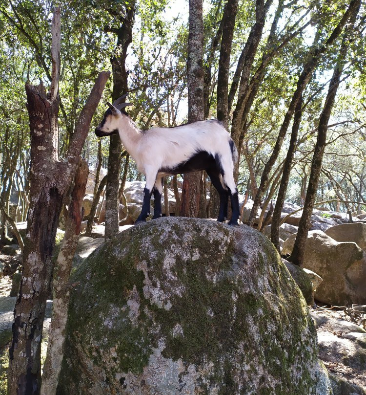 Parc Naturel D'Olva景点图片