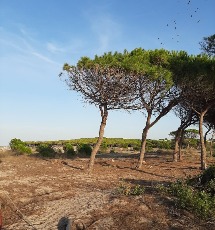 Spiaggia Sa Capannizza-Budoni必去景点