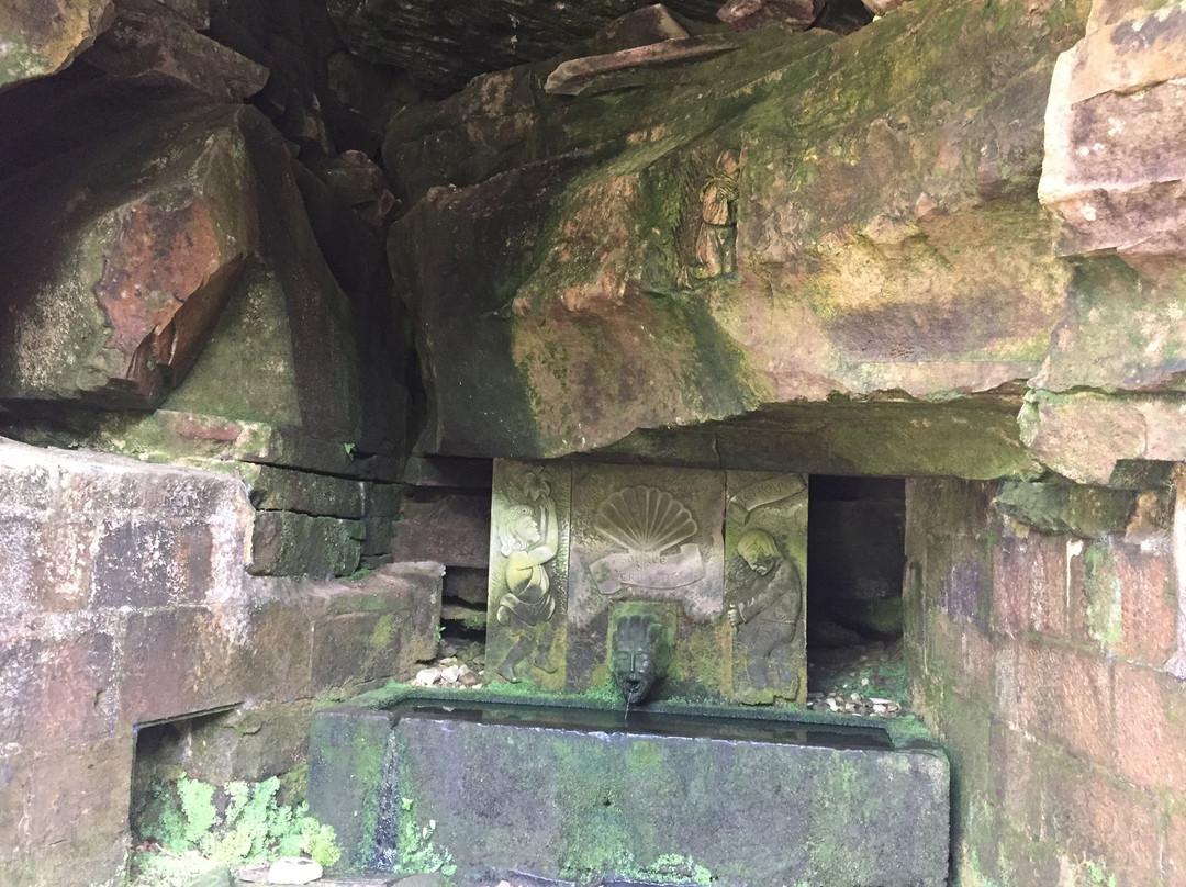 Parc Animalier de Fougerolles - Saint-Valbert-Fougerolles必去景点