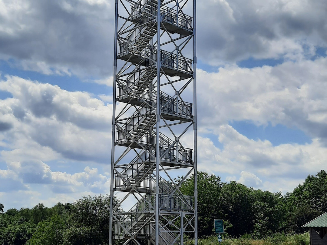 Panoramaturm Betzelhübel - Ottweiler