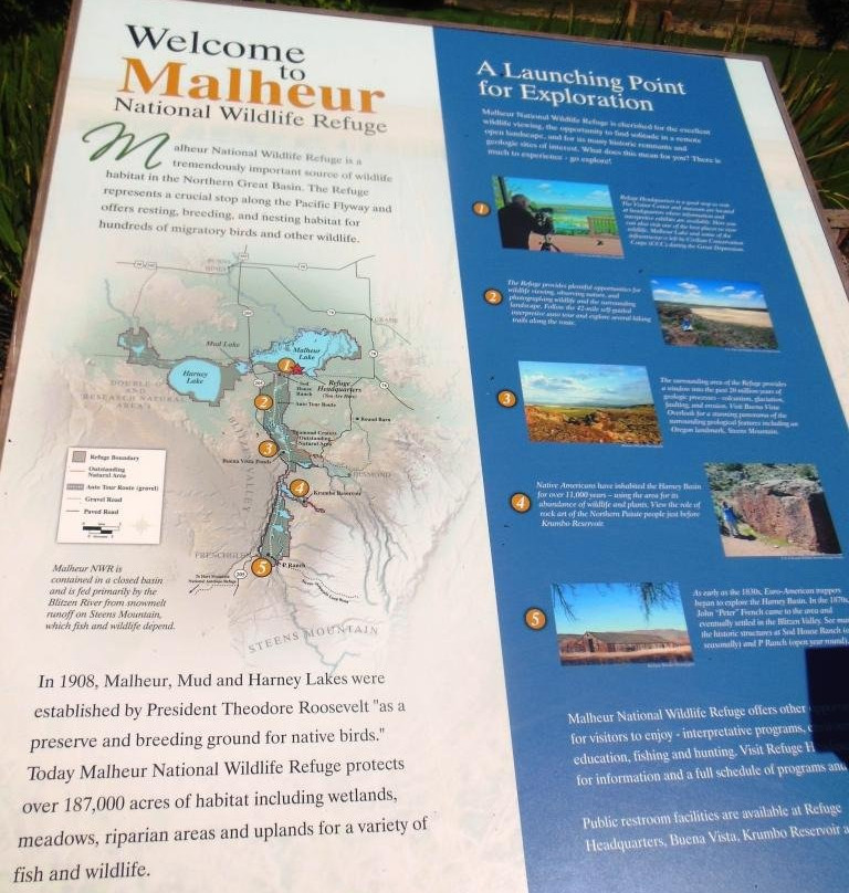Malheur National Wildlife Refuge-Princeton必去景点