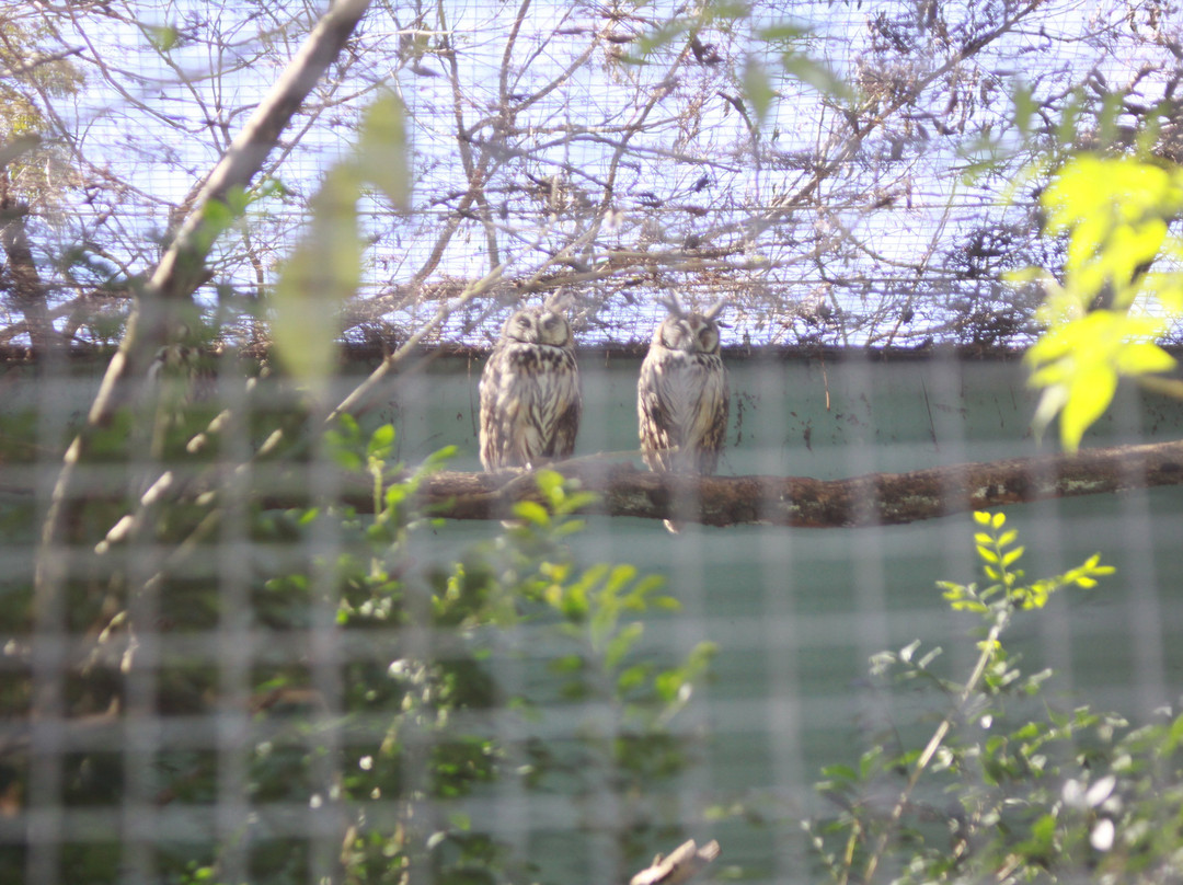 Zoológico Municipal de Guarulhos-瓜鲁柳斯必去景点