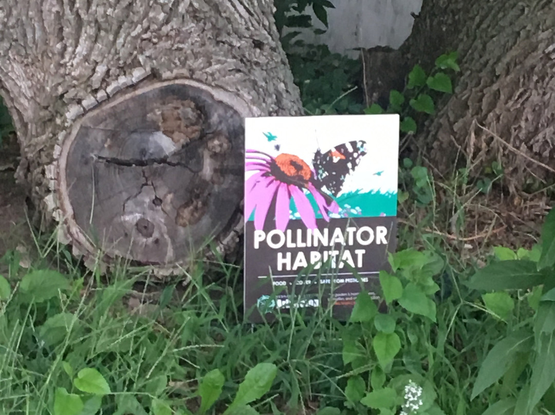 Burchell's White Hill Farmhouse Inn主图