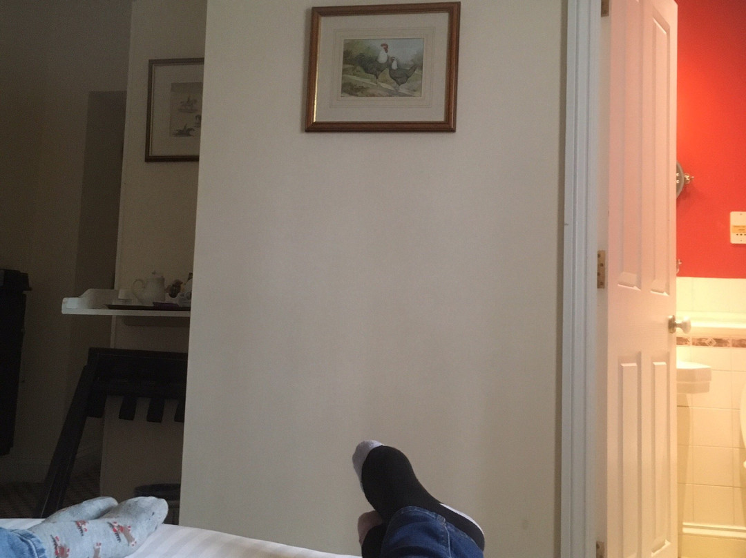 Haley's Hotel and Restaurant主图