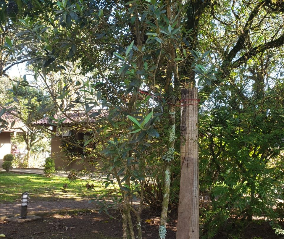 Hotel Fioreze Quero Quero主图