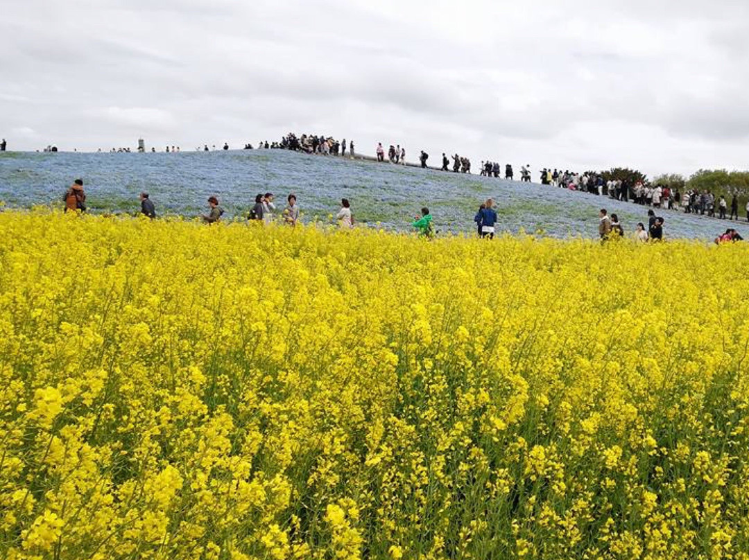 Caramoor Center for Music and the Arts-Katonah必去景点