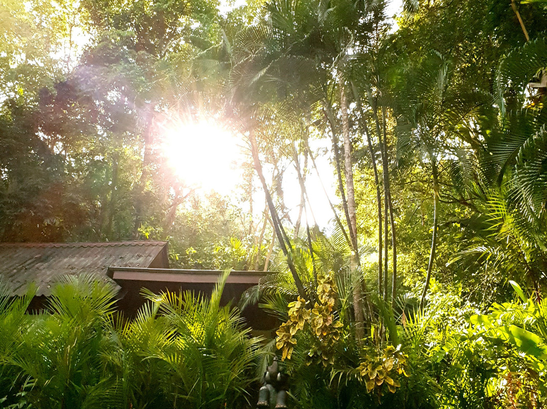 Khao Sok Las Orquideas Resort主图