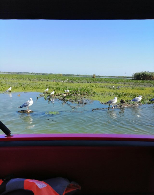 Danube Delta Wildlife Boat Tours景点图片