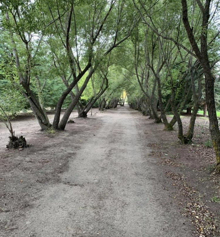 An Intimate Garden B&B主图