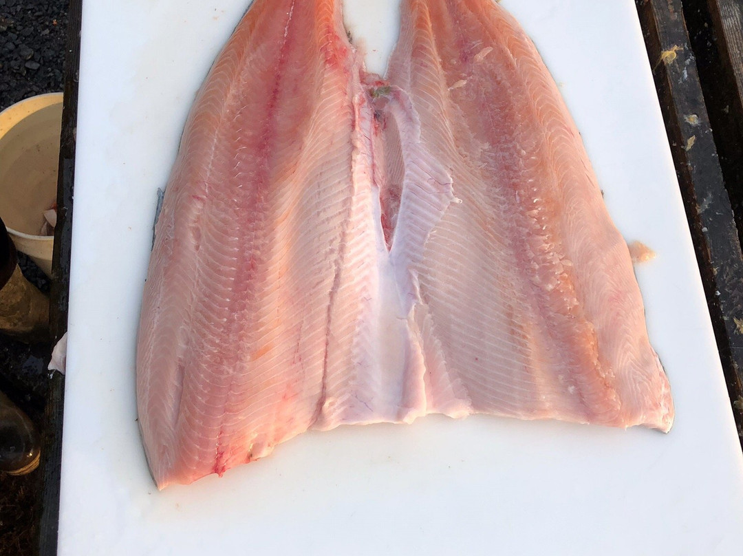 Fish Kodiak Adventures主图