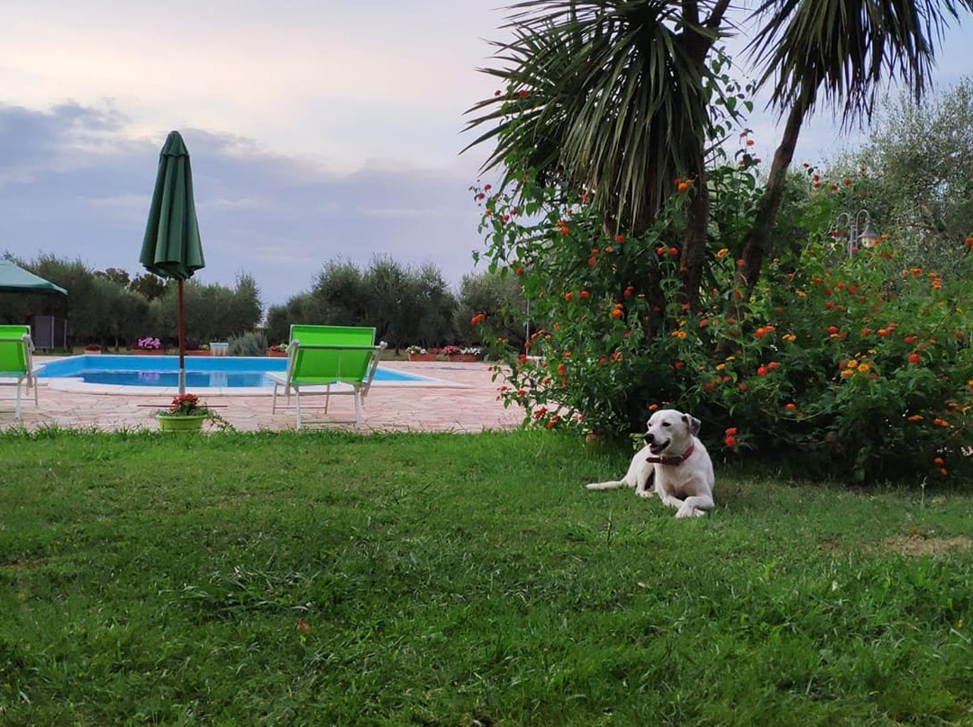 Casa Degli Ulivi主图