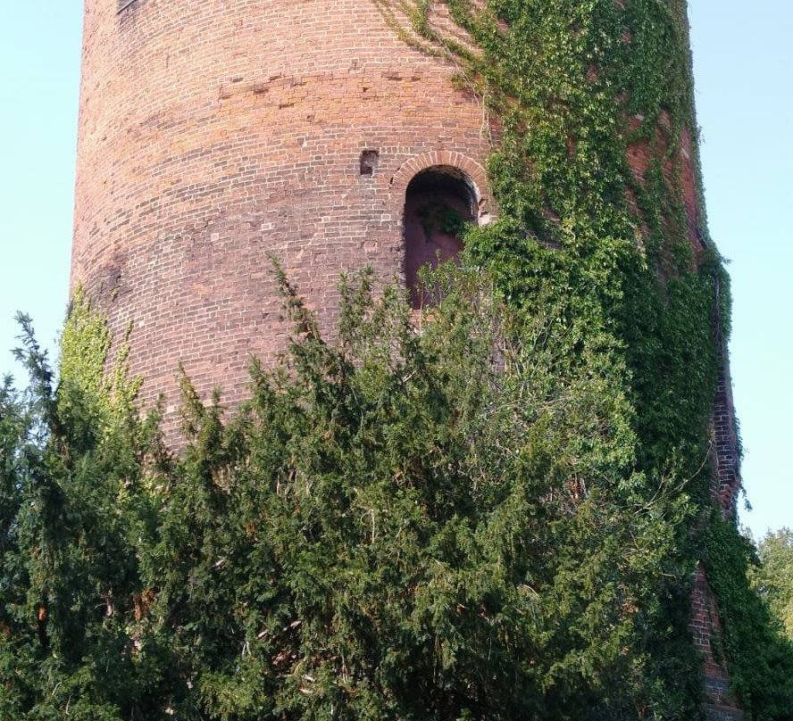 Burggarten-Salzwedel必去景点