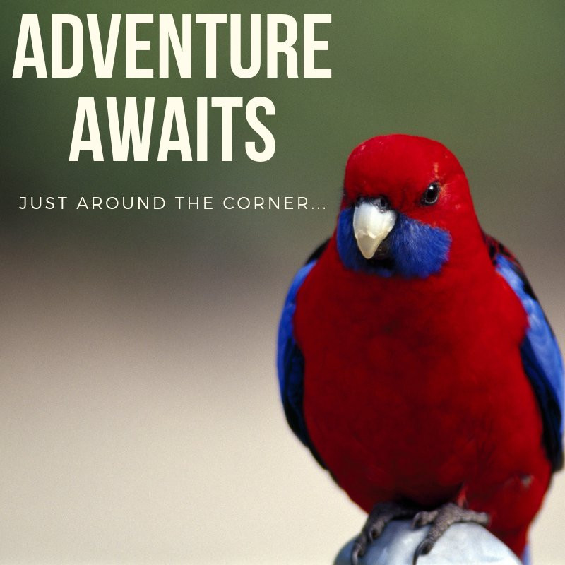 Foothills Conference Centre主图