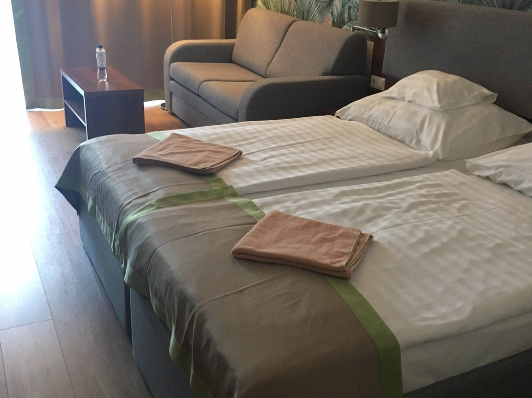 Hotel Forrás Zalakaros主图
