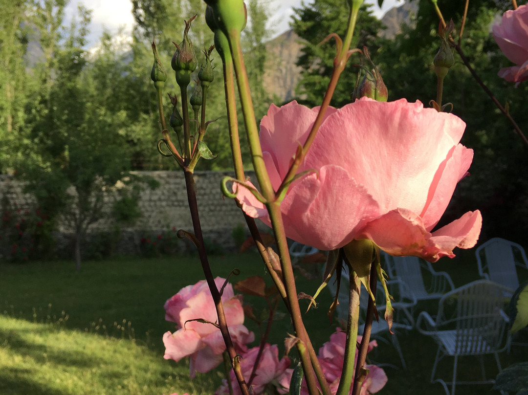 Baltistan Village Guest House主图