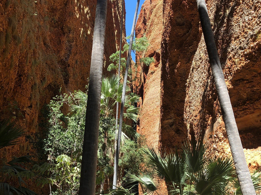 Purnululu National Park景点图片