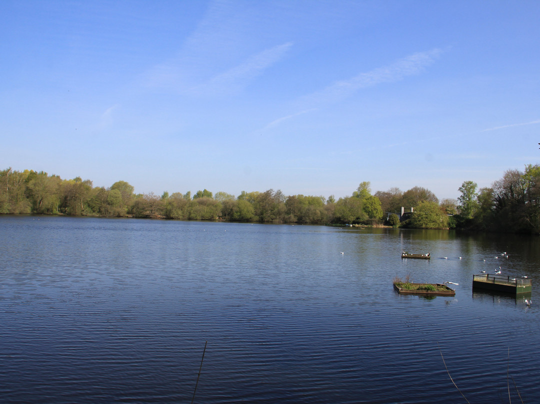 Hilton Gravel Pits Local Nature Reserve景点图片