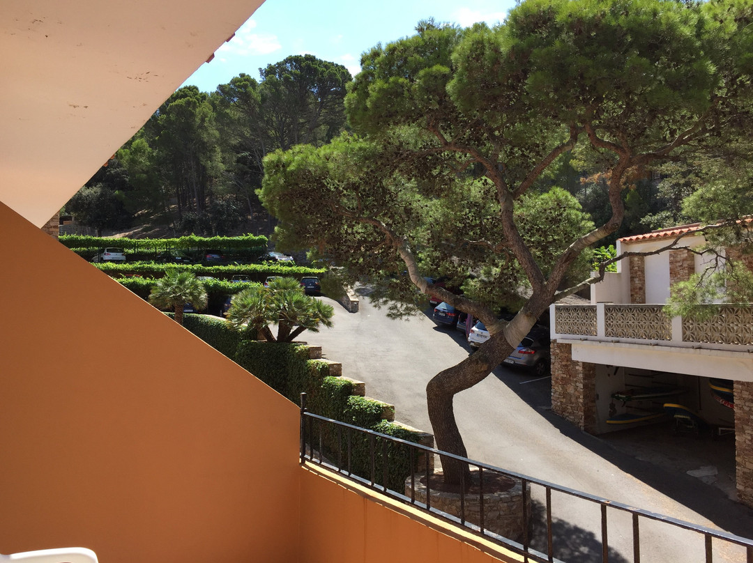 Hotel Sa Riera主图