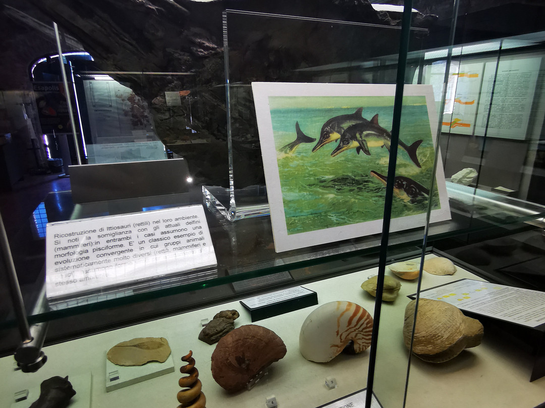 Museo Geopaleontologico di Cava Bomba景点图片
