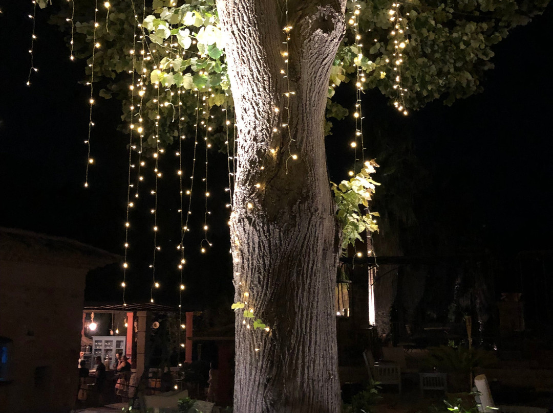 Finca Ca N'Ai主图