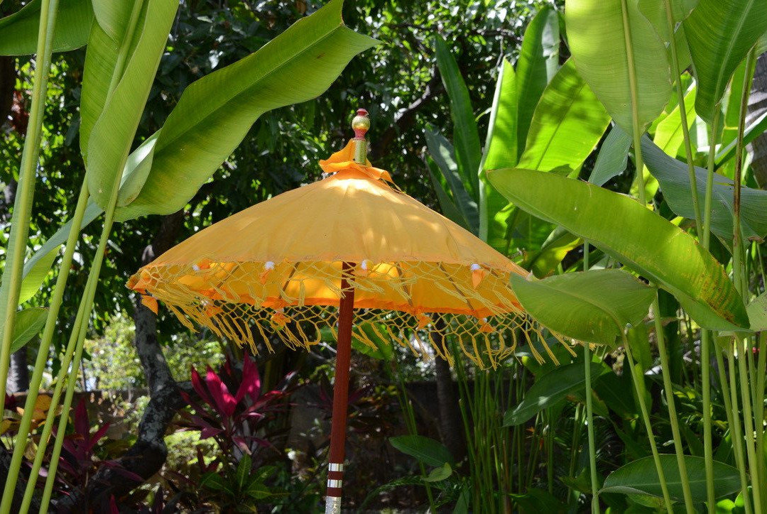 Bondalem Bliss主图