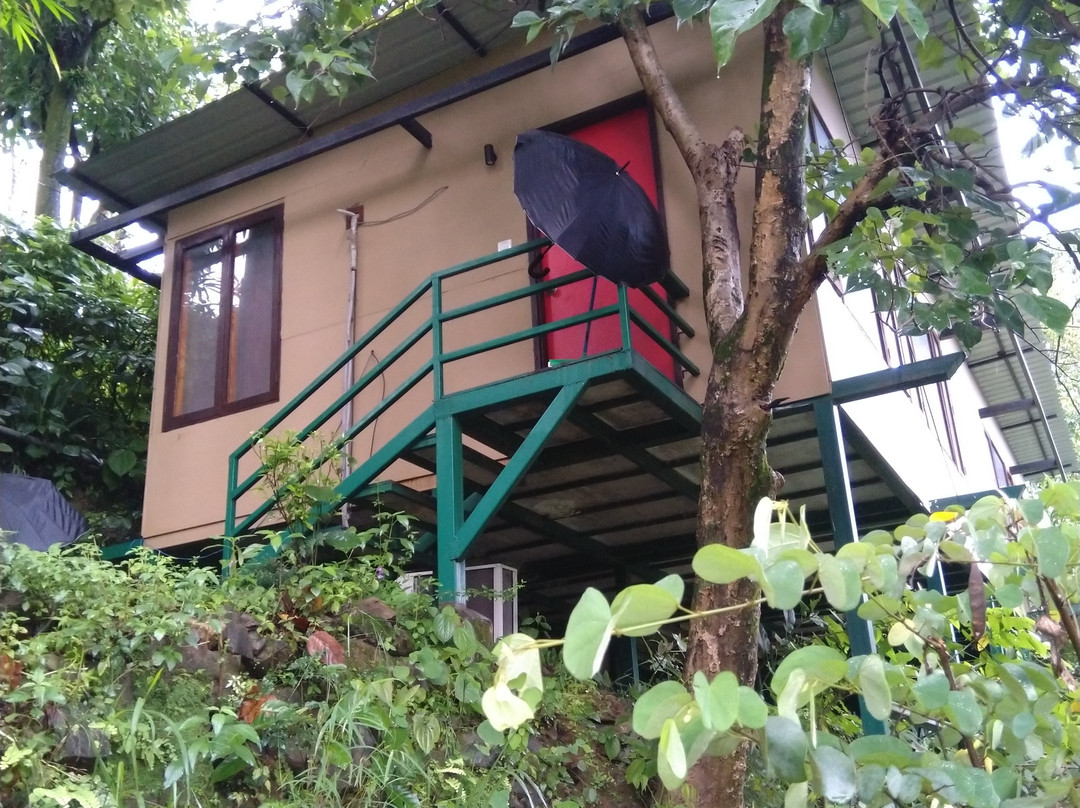 The Sal Woods Resort and Spa主图