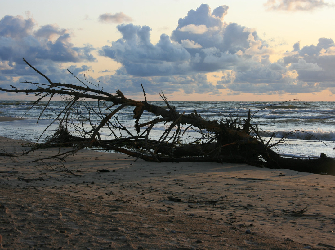 Liedags Guesthouse主图