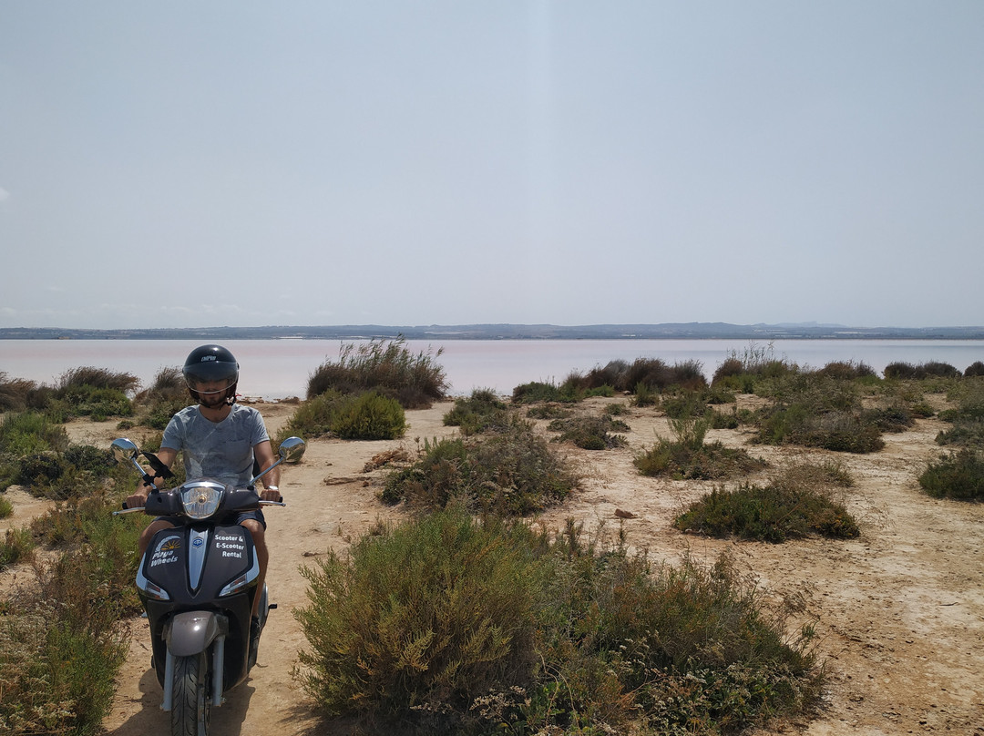 Playa Wheels景点图片