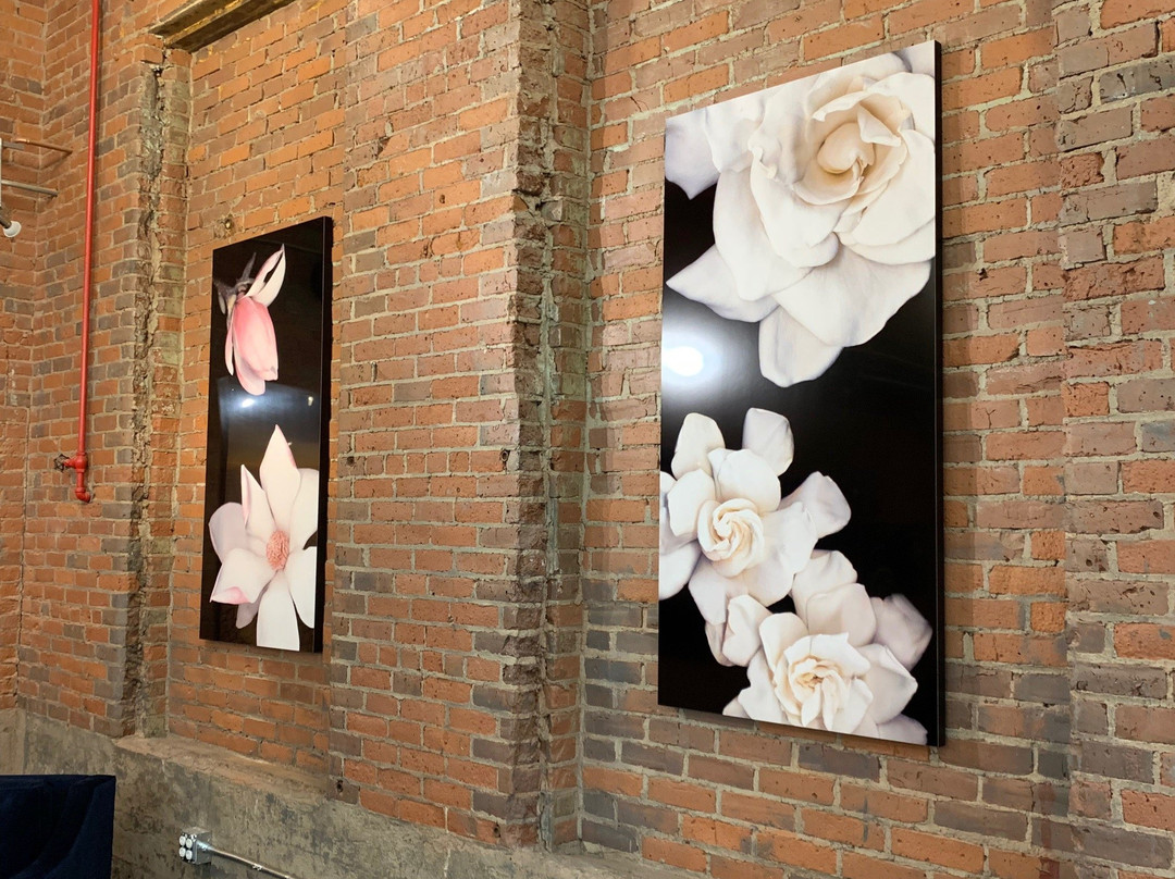 YJ Contemporary Fine Art-East Greenwich必去景点