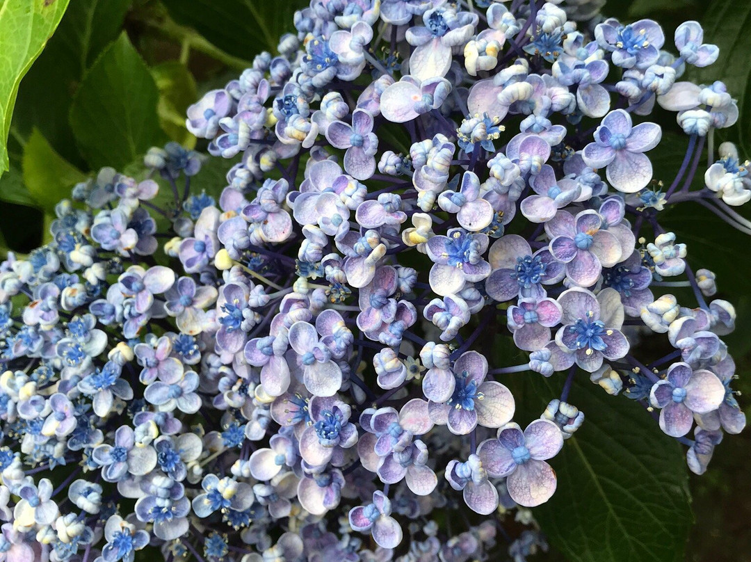 Deshio Monjudo-山形市必去景点