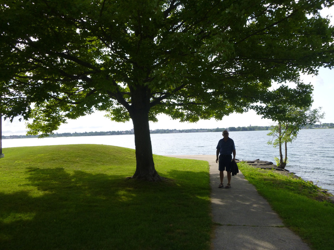 Piccolo Cafe Plus主图