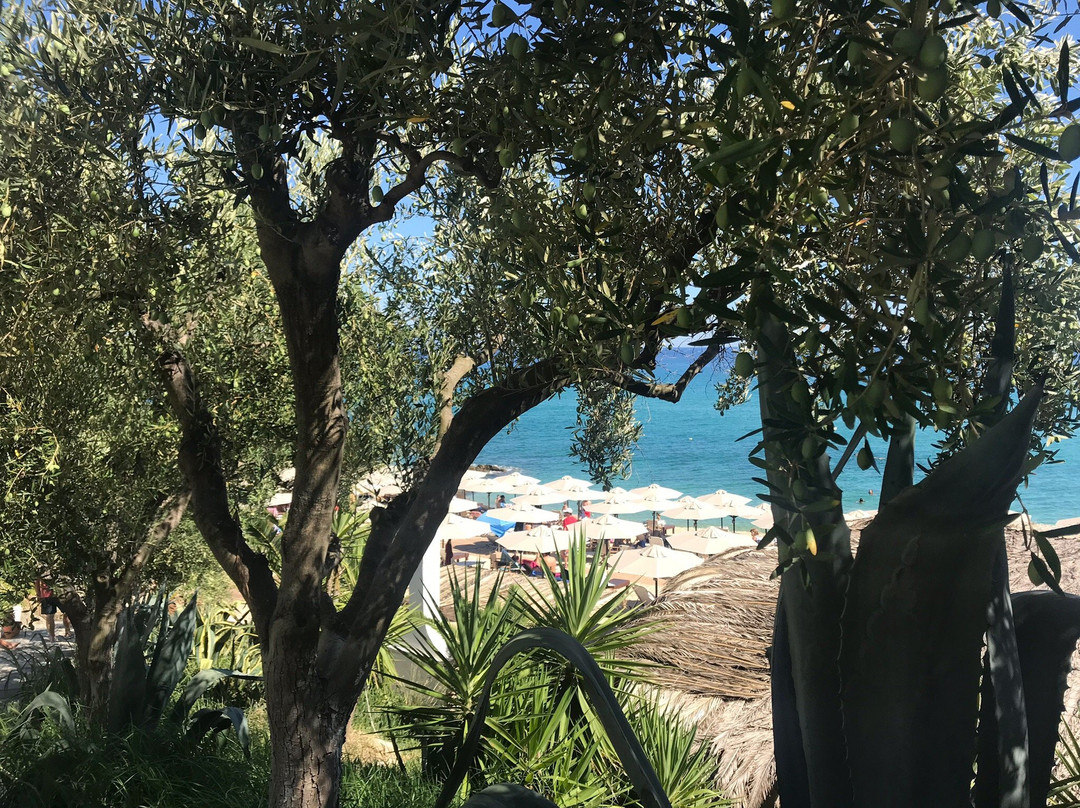 Oceanview Beach Hotel主图