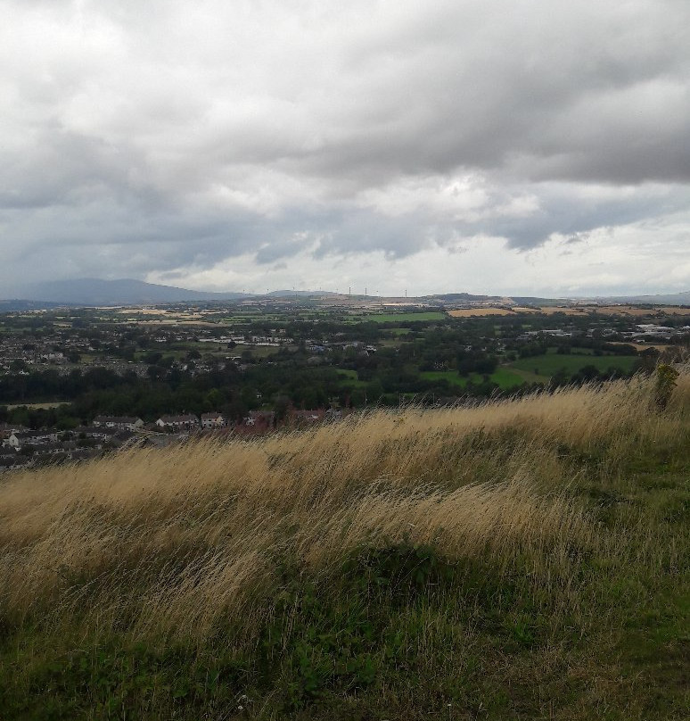 Vinegar Hill-Enniscorthy必去景点