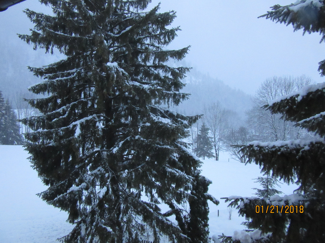 埃皮埃特尔酒店主图