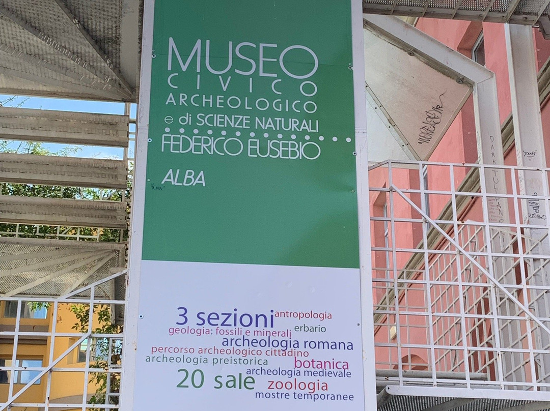 Museo Civico archeologico e di Scienze Naturali F. Eusebio景点图片