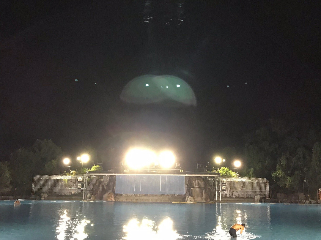 Seibuen Amusement Park-所泽市必去景点