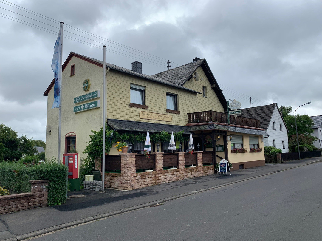 Hotel zur Alfbachquelle
