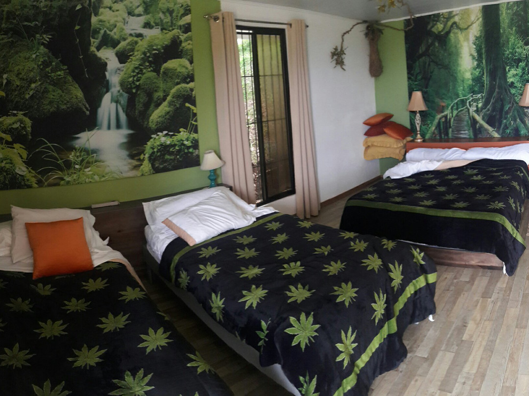 Paris Confort B&B主图