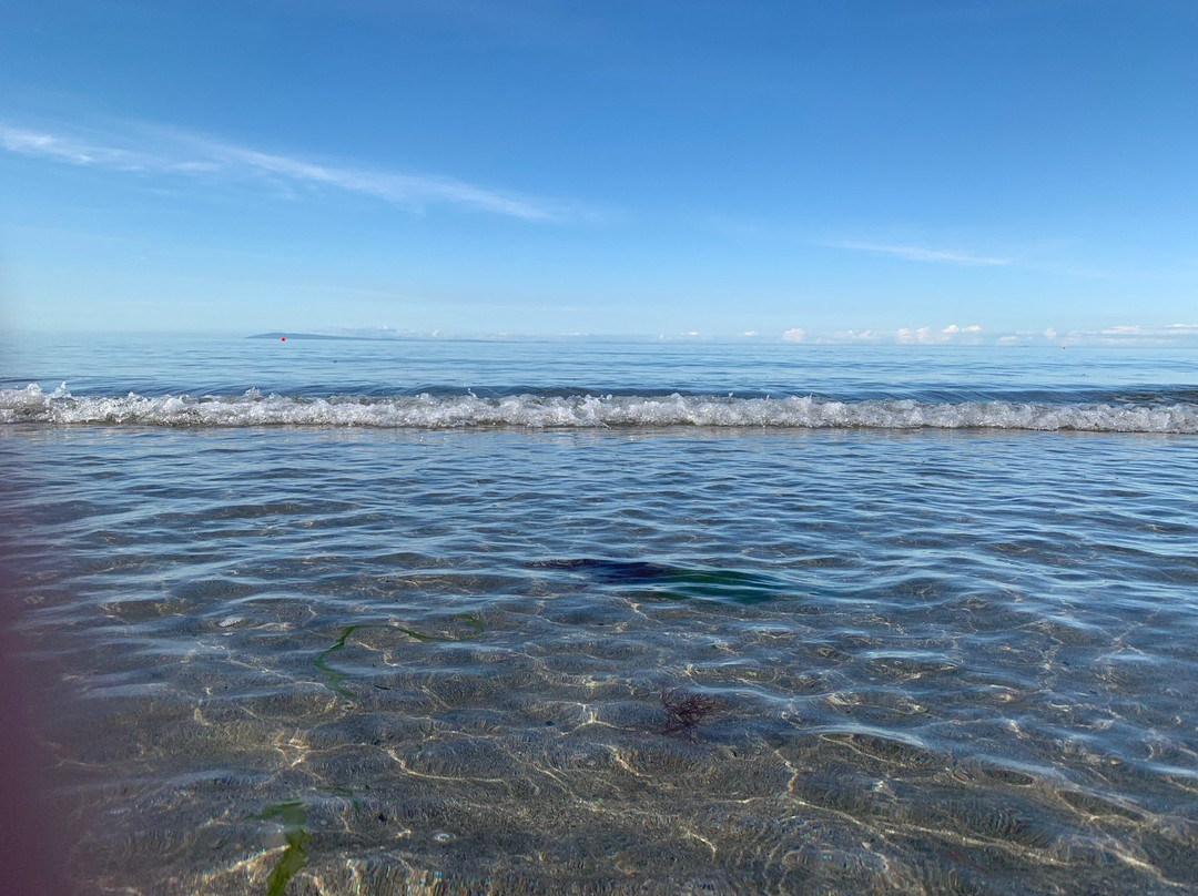 Ballygally Beach-Ballygally必去景点