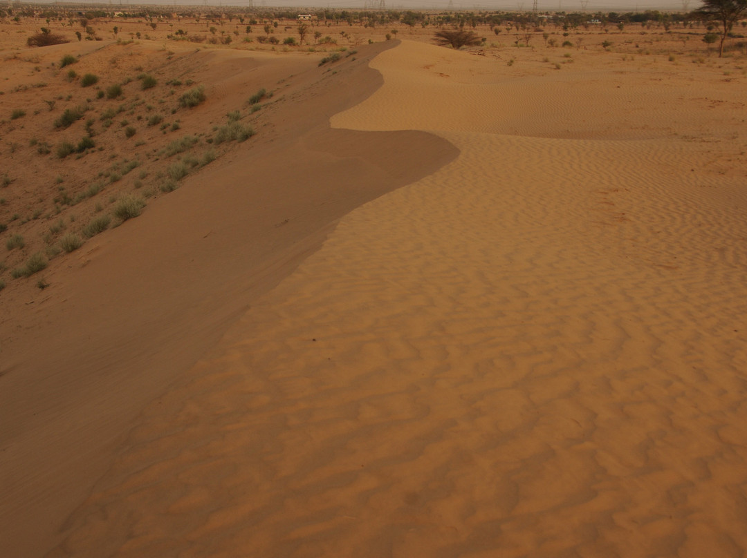 Camel Safari景点图片