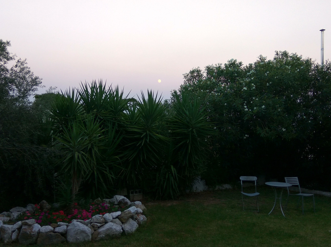 Tomato Beach Hotel主图