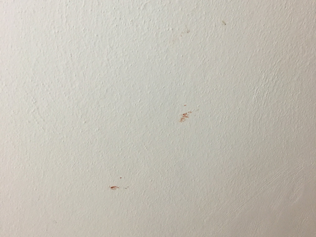 Kaju Beach Otel主图