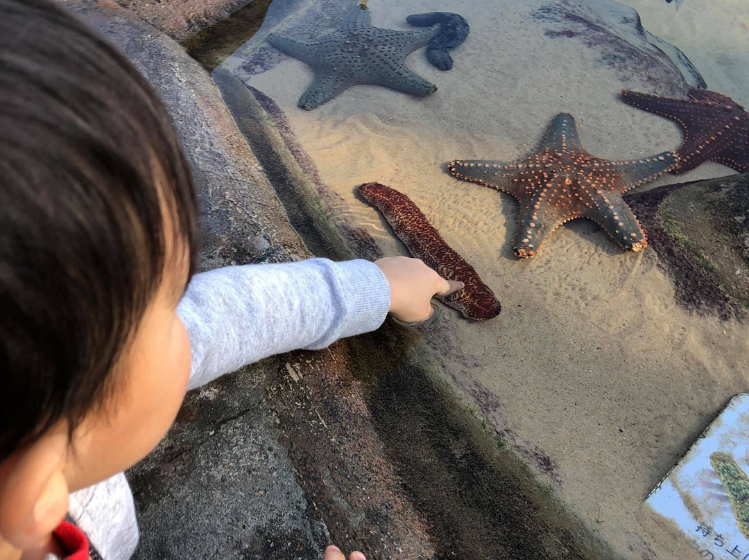 Shark Bay-梅因海滩必去景点