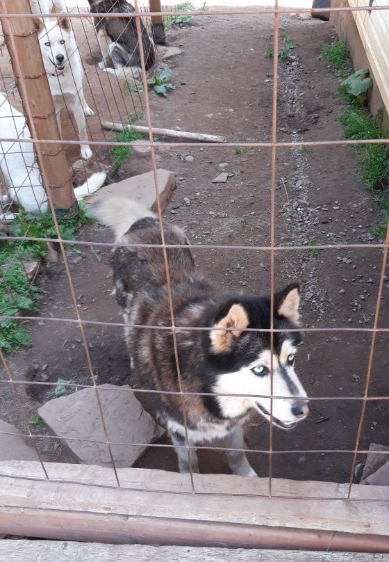 Gîte Aux jardins de l'Anse主图