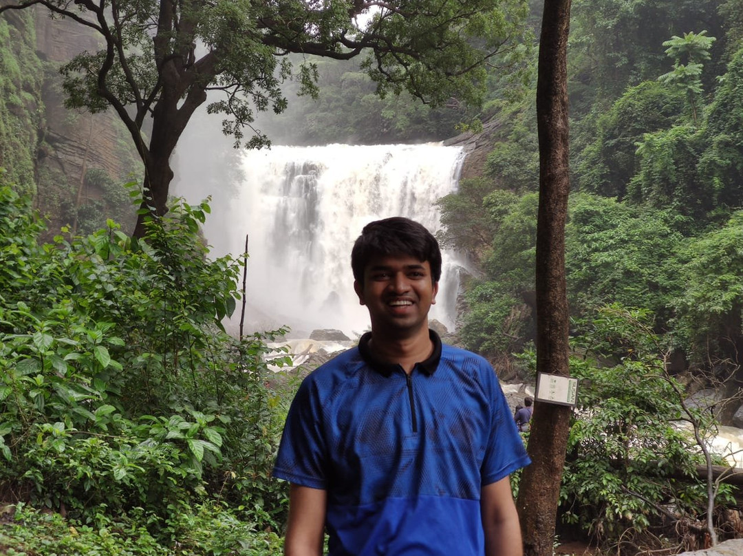 Sathoddi Falls景点图片