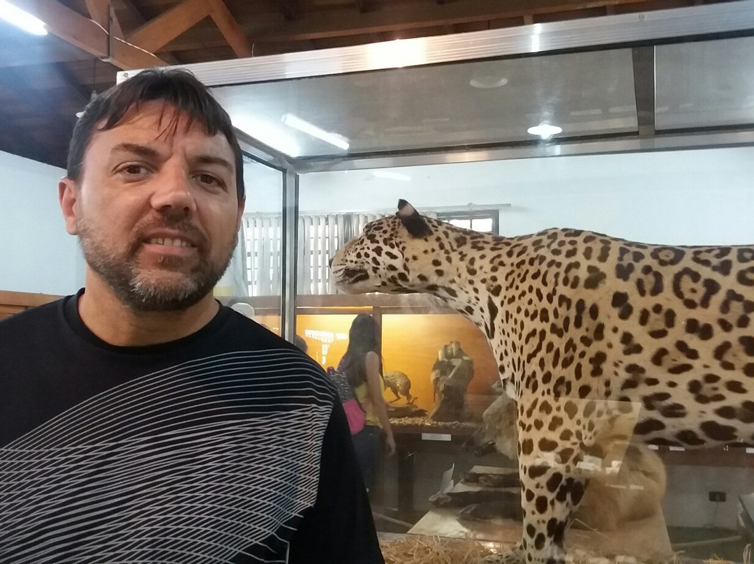 Natural Science Museum-瓜鲁柳斯必去景点