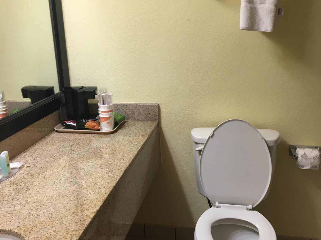 Quality Inn & Suites主图