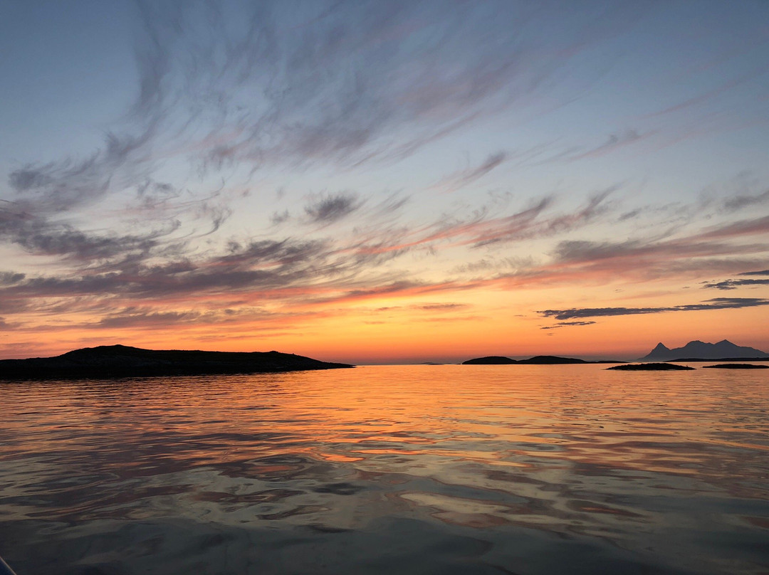 Saltstraumen Brygge主图