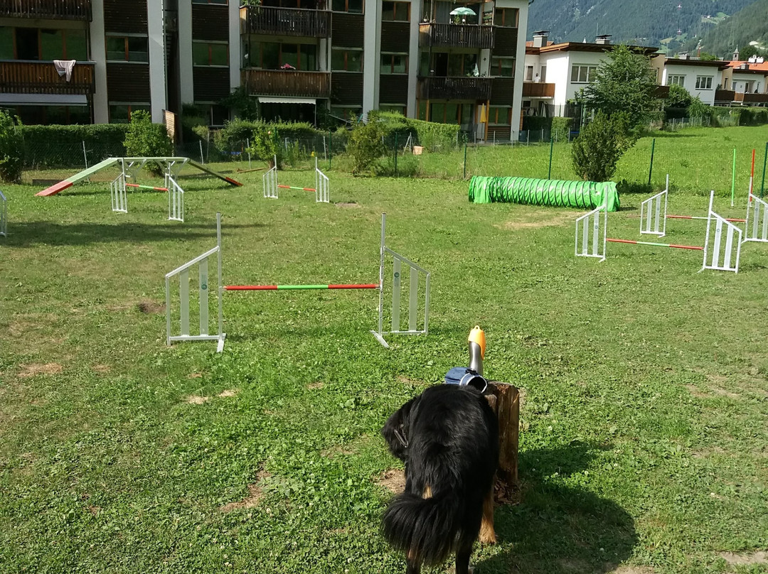 Hundehotel Riederhof主图