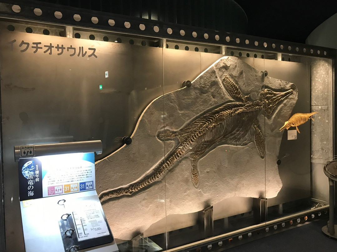 Gamagori Museum of Earth-蒲郡港必去景点